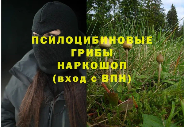 дурь Лагань