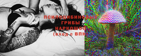 дурь Лагань