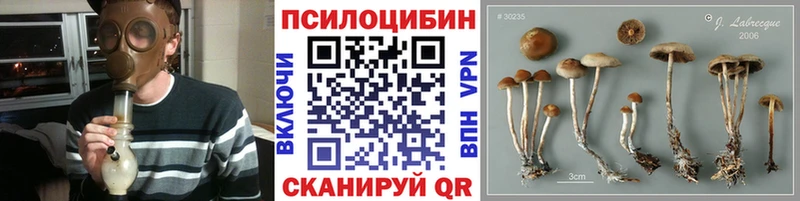 Галлюциногенные грибы Cubensis  Хилок 