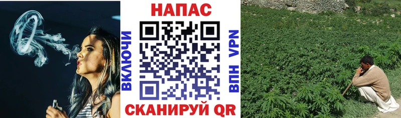 купить   mega онион  Каннабис White Widow  Хилок 